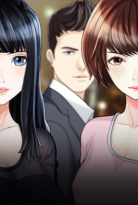 两个老婆/家有双妻 封面