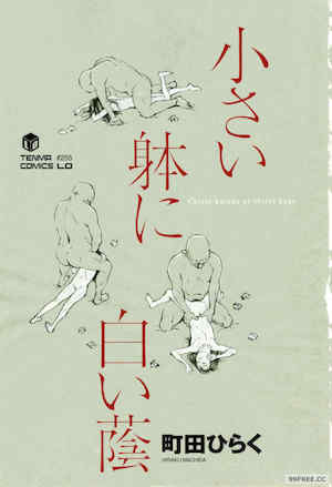 [町田ひらく] 小さい躰に白い蔭 封面