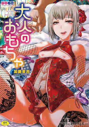 [加藤茶吉] 大人のおもちゃ 封面