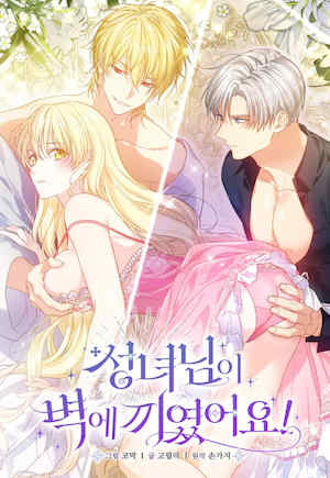 卡于墙中的圣女殿下 封面