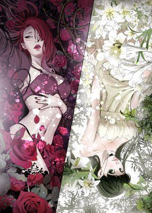 ACE禁断的诈欺之夜 封面