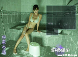 杉原杏璃写真集《 愛の或る部屋 》高清全本 封面