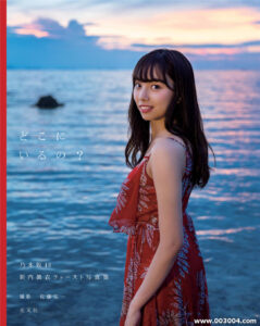 新内真衣1st写真集《どこにいるの》高清全本 封面